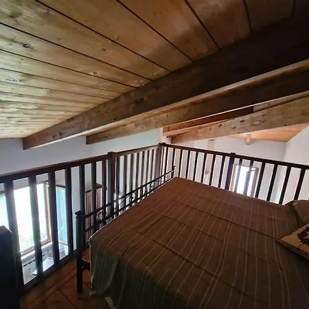 Maya House